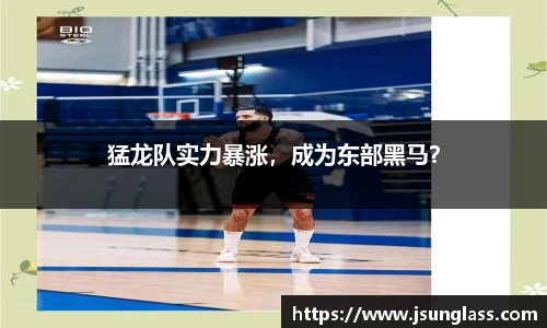 猛龙队实力暴涨，成为东部黑马？