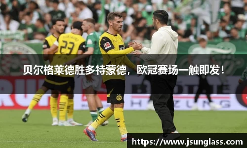 贝尔格莱德胜多特蒙德，欧冠赛场一触即发！